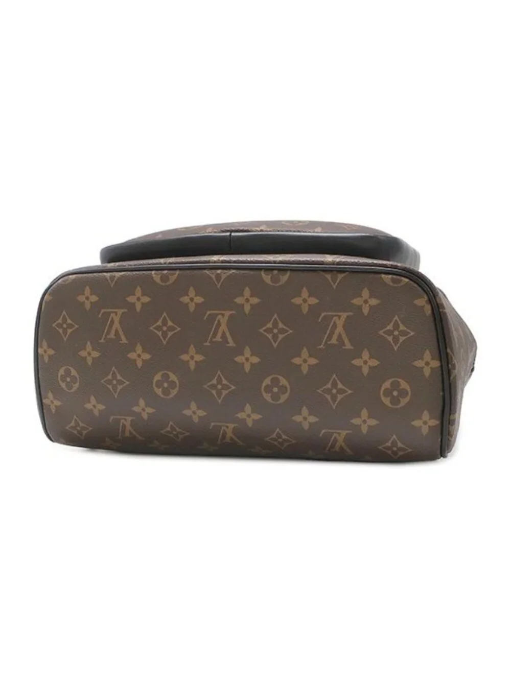 Louis Vuitton brand louis